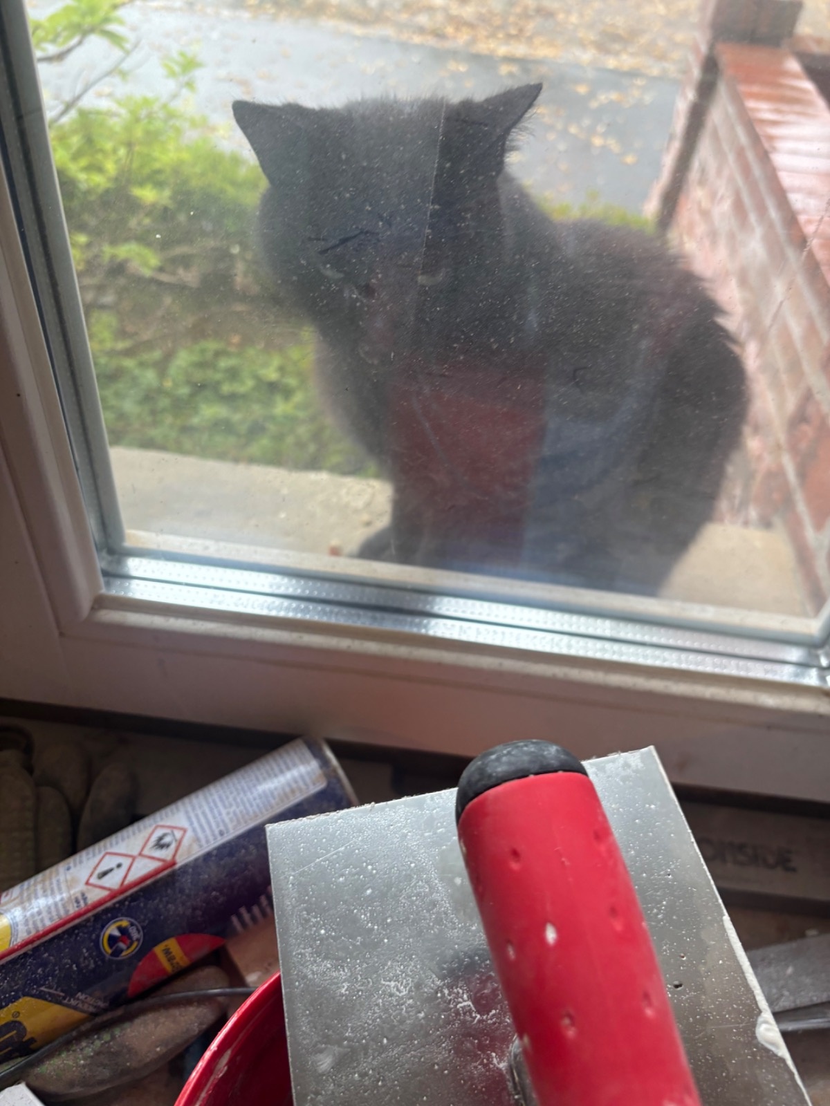 2a3c2f7f-01a4-4270-b830-00481a78427c