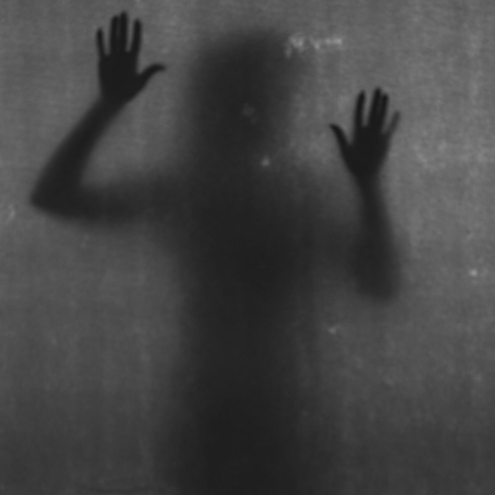 310d99db-e746-43b1-8f8e-47507436c436