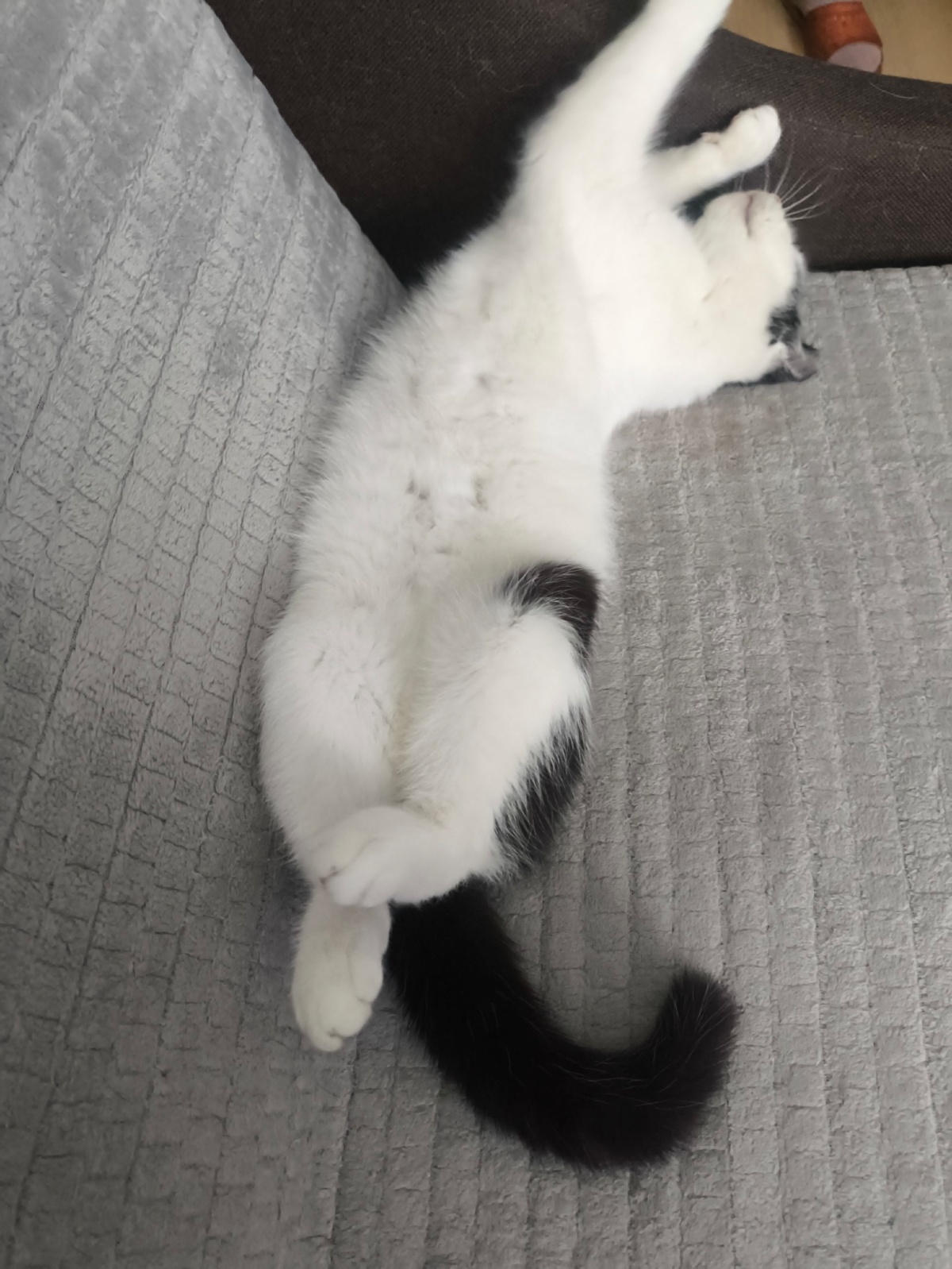 fc4140c8-3e89-478f-be2f-88fb0c5c4831