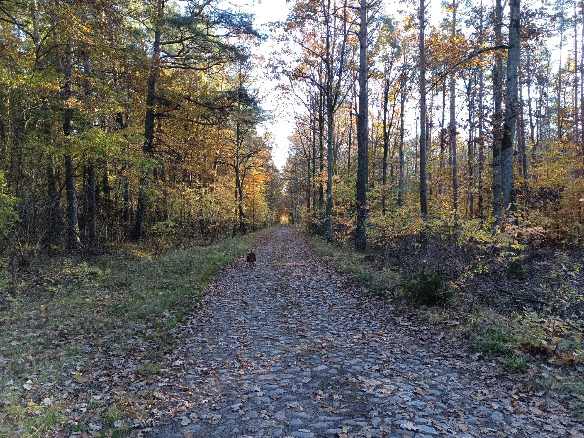 e3d90092-6e23-4ec8-8f29-bb46a35f3393