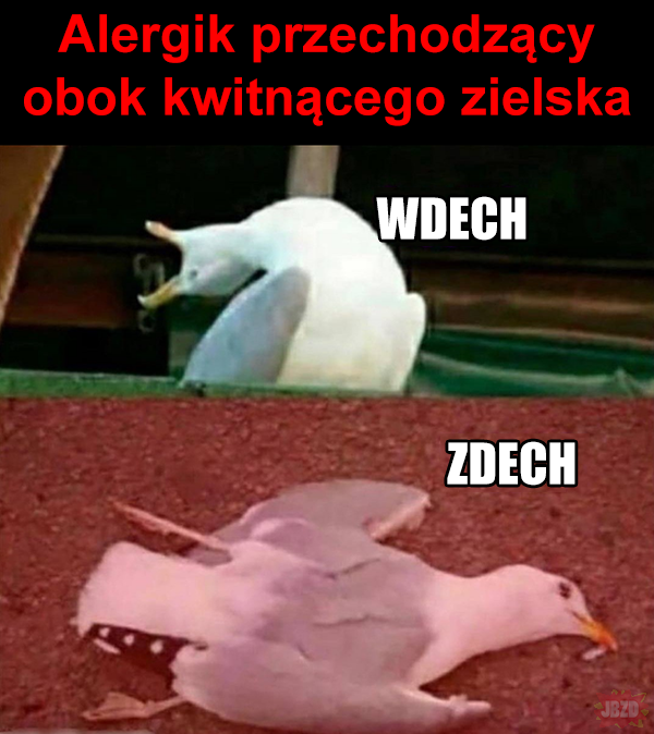 d508eeb0-0b8a-4fe9-a162-b66dcf91160e