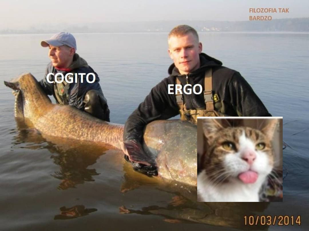 bfa21085-d52f-4f24-95b2-30478ca89917