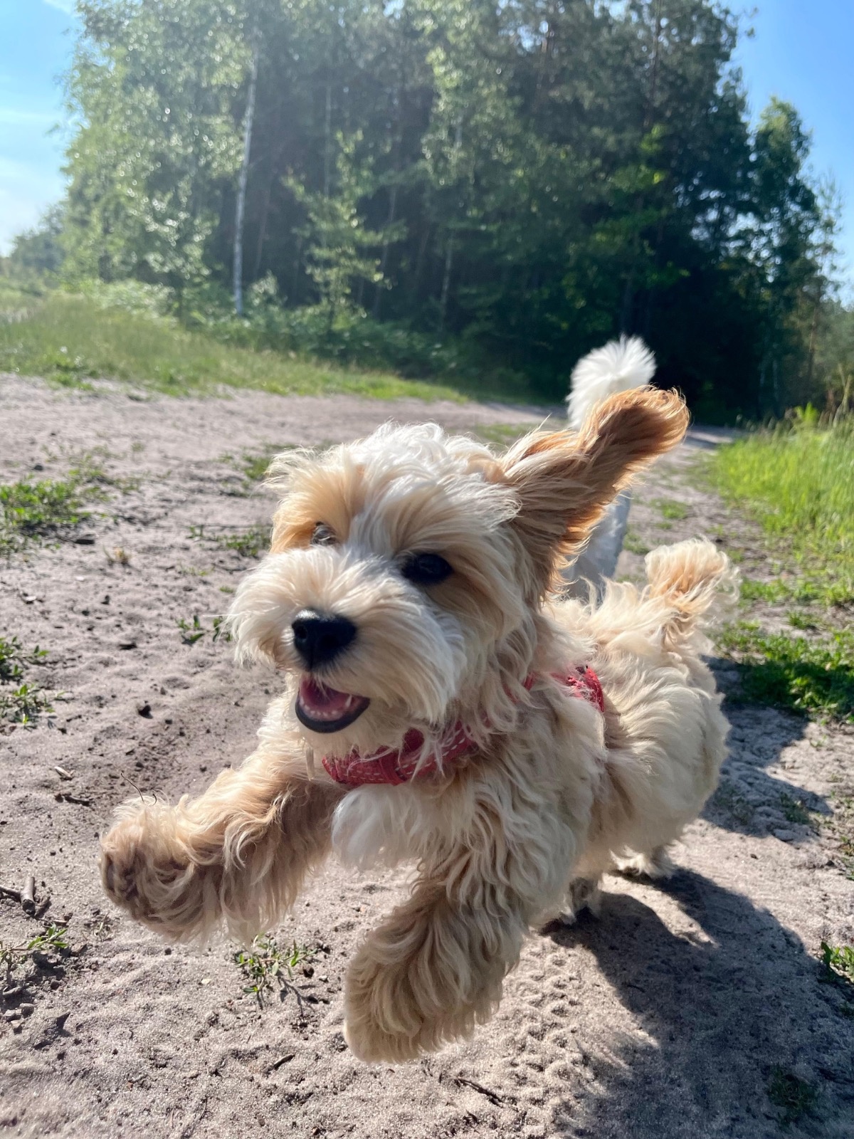 3b08803c-984e-4c77-a038-05d3380f0c39