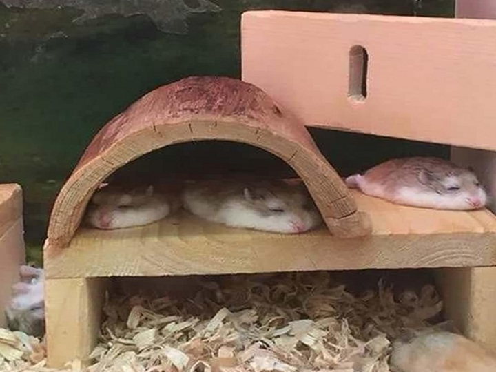 2fd54741-8a3d-422d-a557-6769b675f490