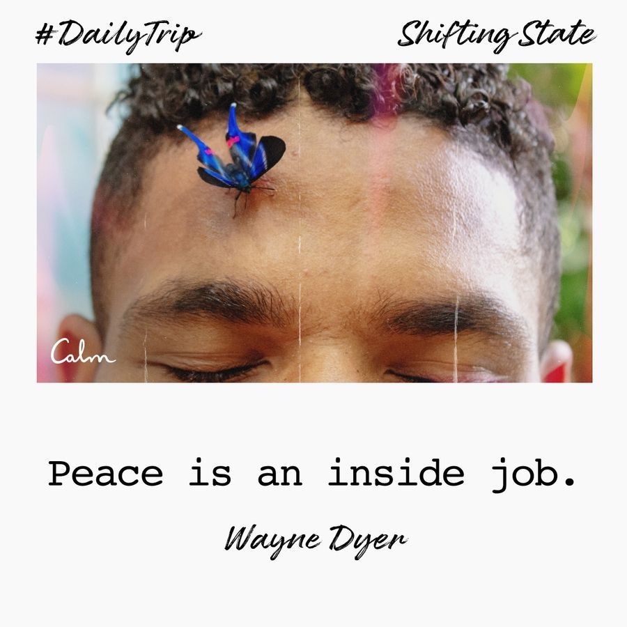 8d7dfc94-a860-4220-989a-2bc0c639137f