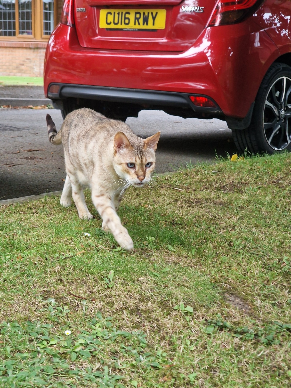 04e15cb7-4265-4272-8ad8-a221b722ba0e