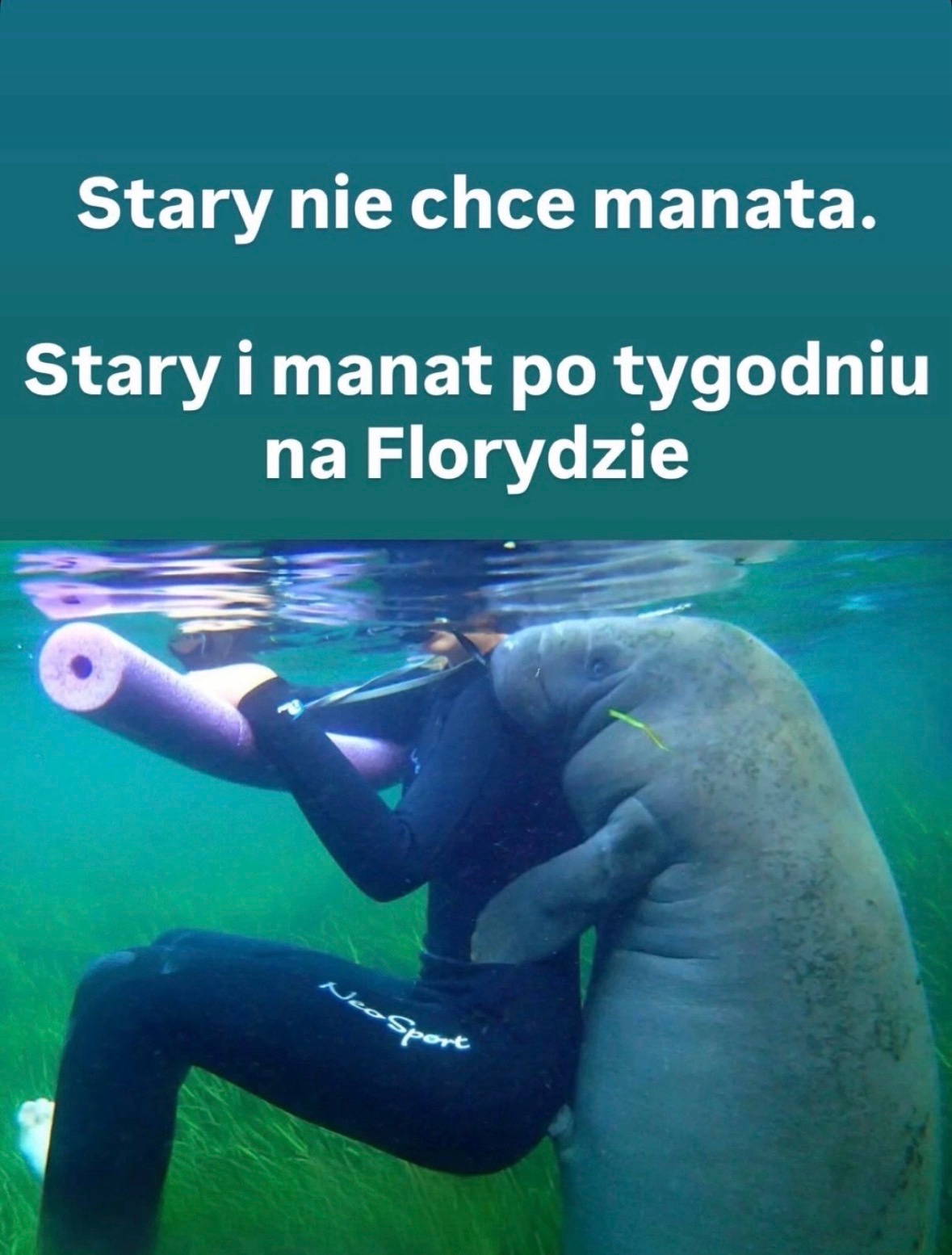 07acbe51-8b51-47fa-9306-038130b24a31