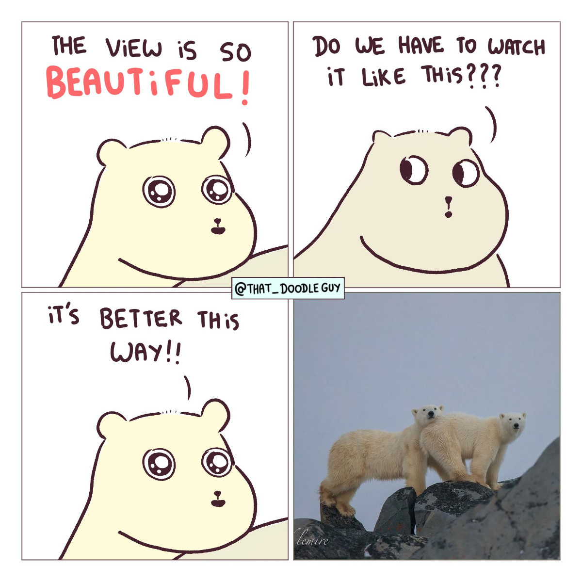 408b7078-a898-491e-8812-d69c0bcf7cc0