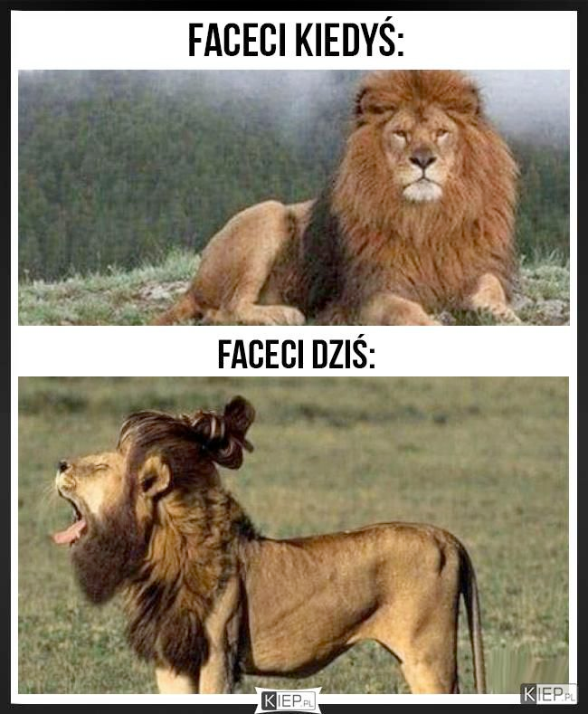 4a4b5868-b890-4cae-b3b3-97a97d3585a0