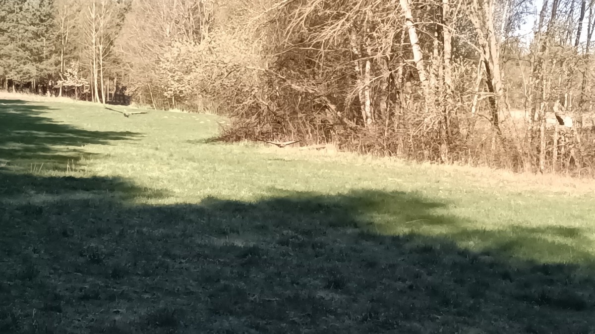 335bb1e6-9320-424a-9424-126a4eeb02a2