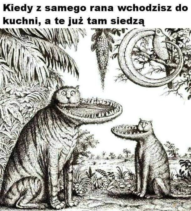 72375f6f-1f5d-41e7-a596-b33330837150