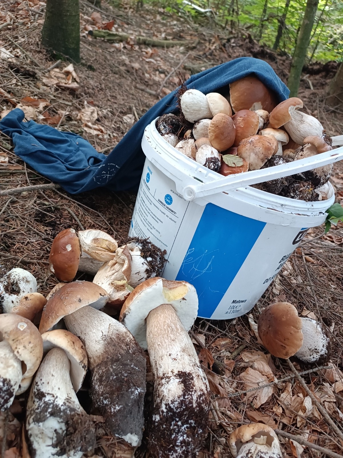 0ed3d2d1-1864-479c-8500-701b1a3e5590