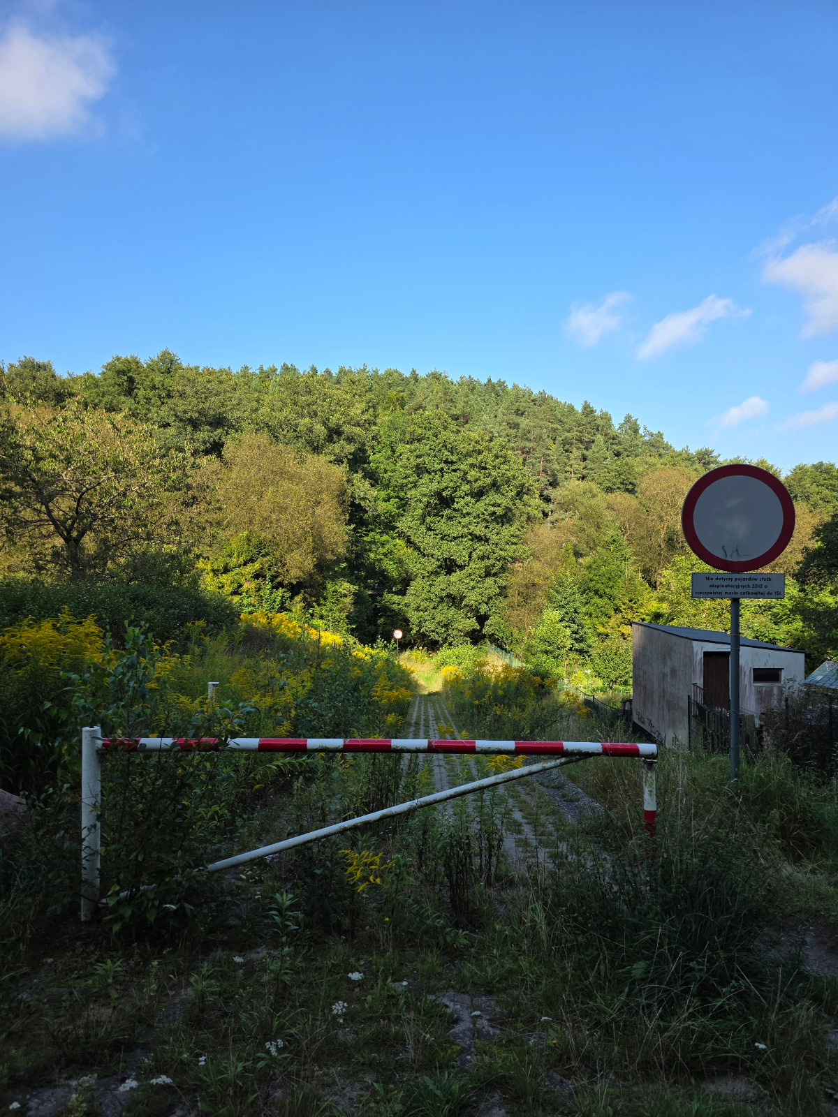 00cc50e3-4783-4786-9c20-44f3e3607822