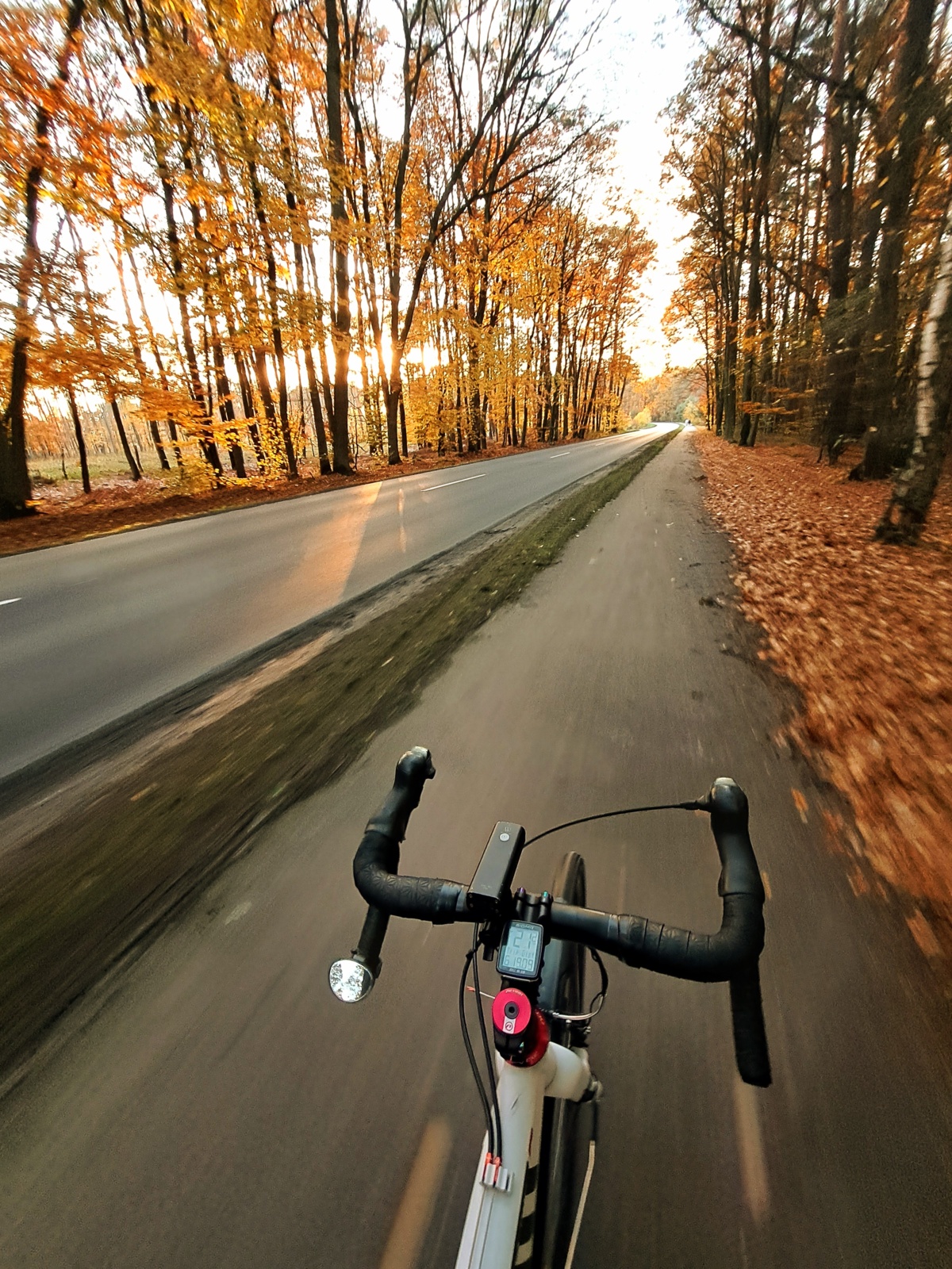 45fae5c9-75aa-473b-b02b-032ec906db95