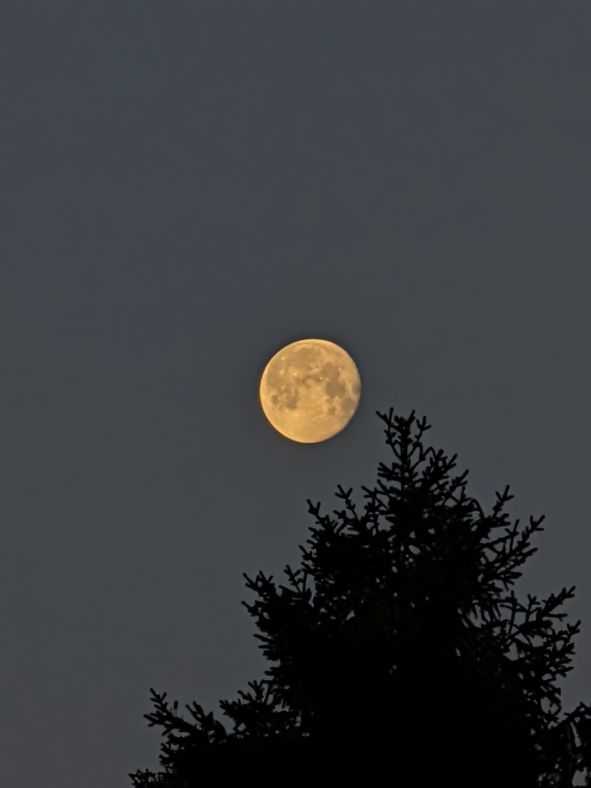 c17afef4-2822-4143-8977-6c34bccdcfb7