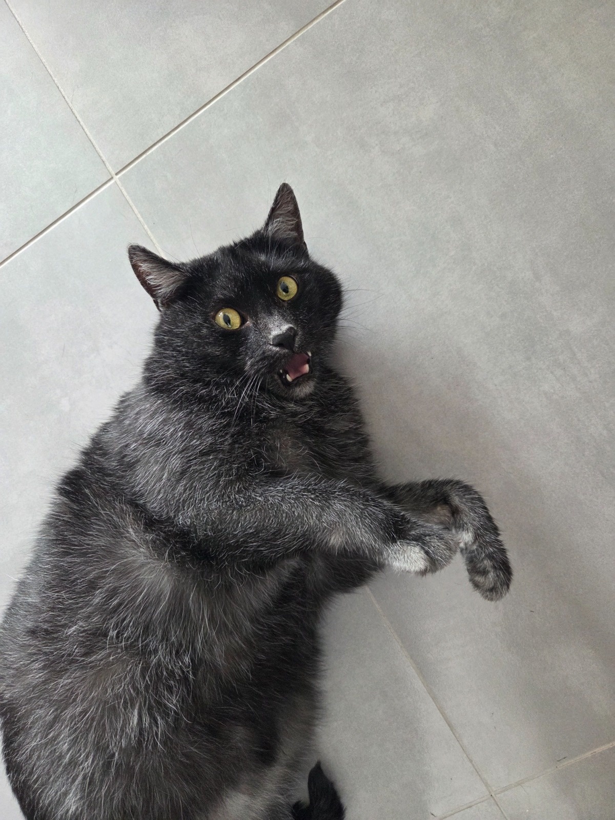 8ba330b4-9f14-4cd0-8ba2-9a394cd6deba