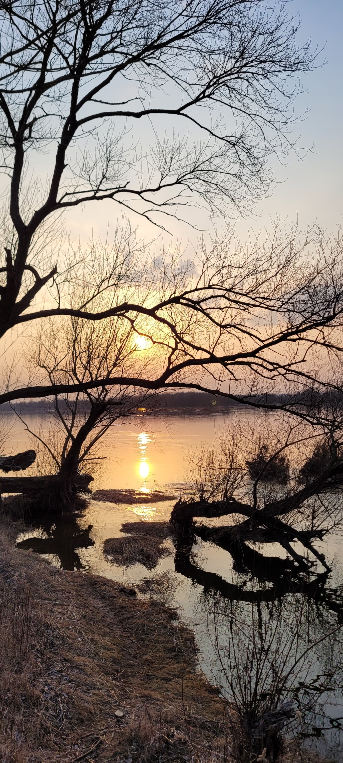 2059cfb8-2a0b-42d6-9a54-1d5987740e98