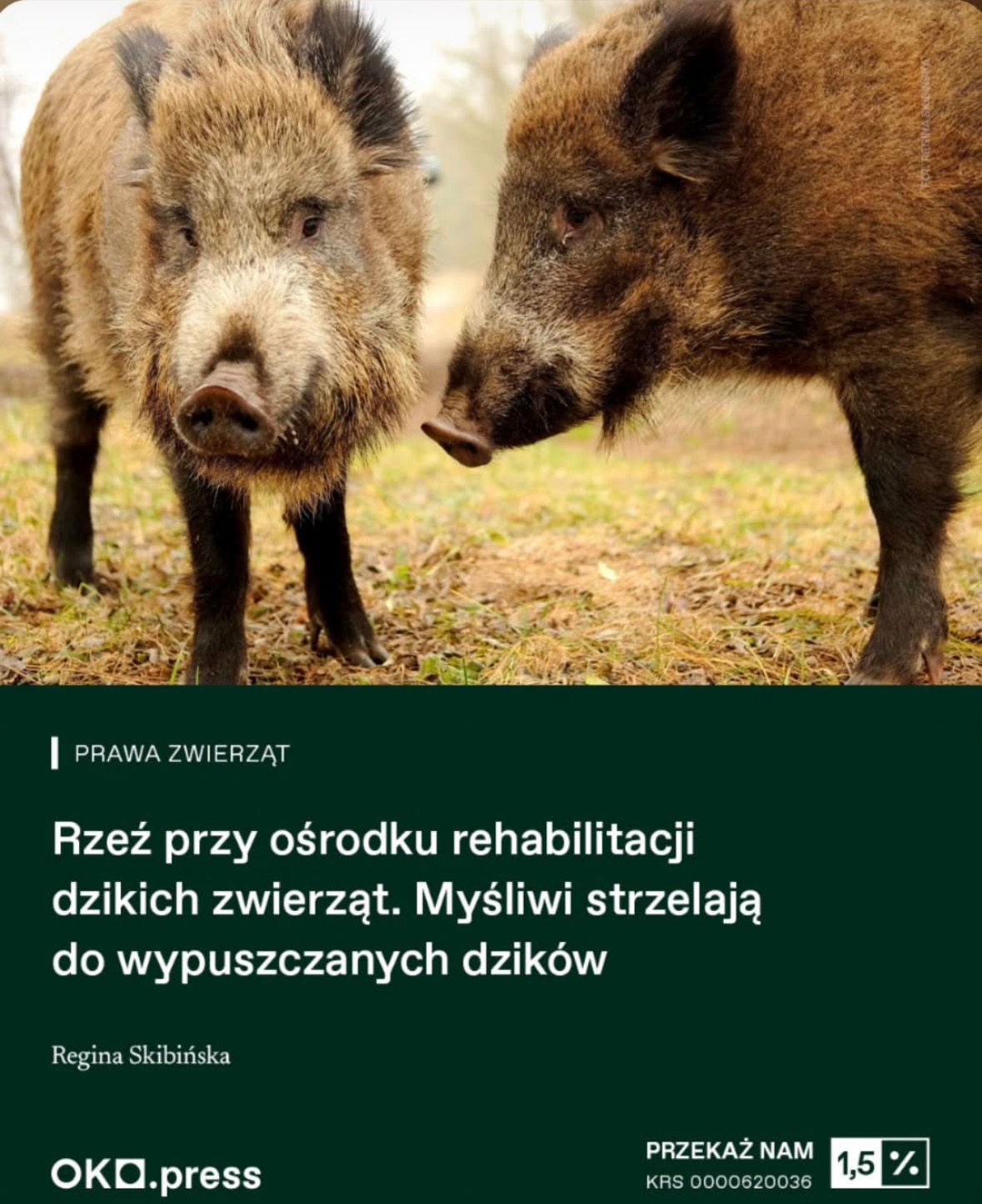 3c4e82ba-0040-41b6-b54c-6bd44ac597fc