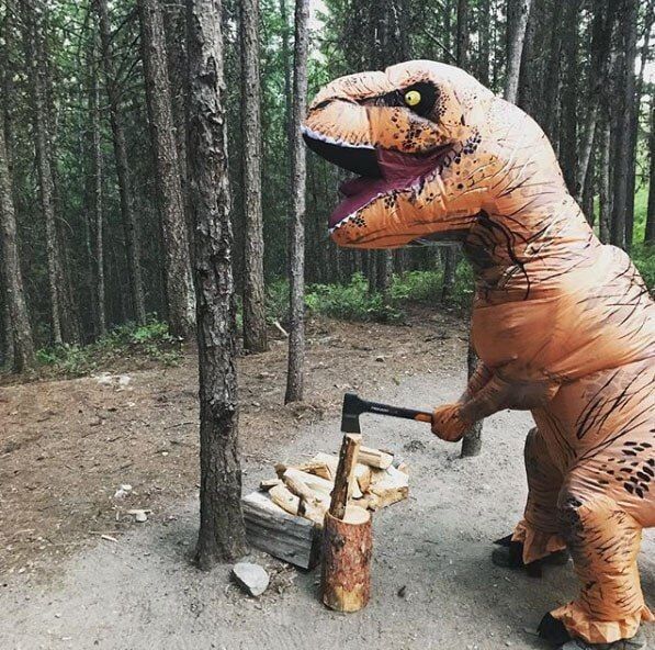 d5871652-2a65-42e9-9f7e-7bddee5c5136