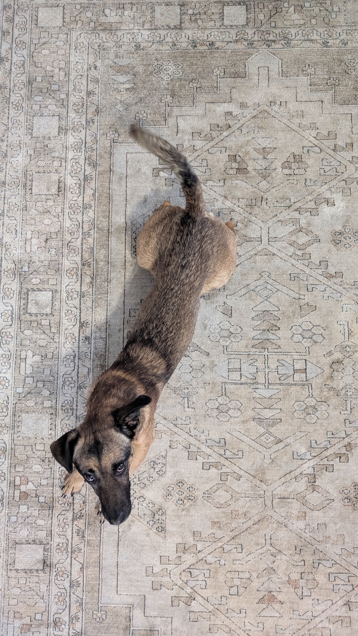 c6f767e5-95b6-4430-a772-2bee864844f3