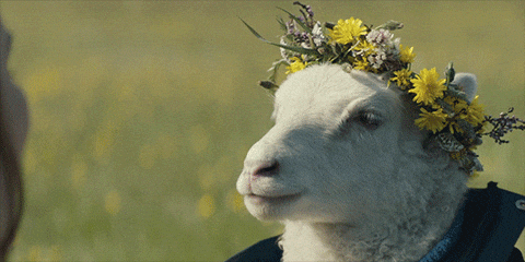 23e19010-704a-460e-9f5a-db6d16ce460b