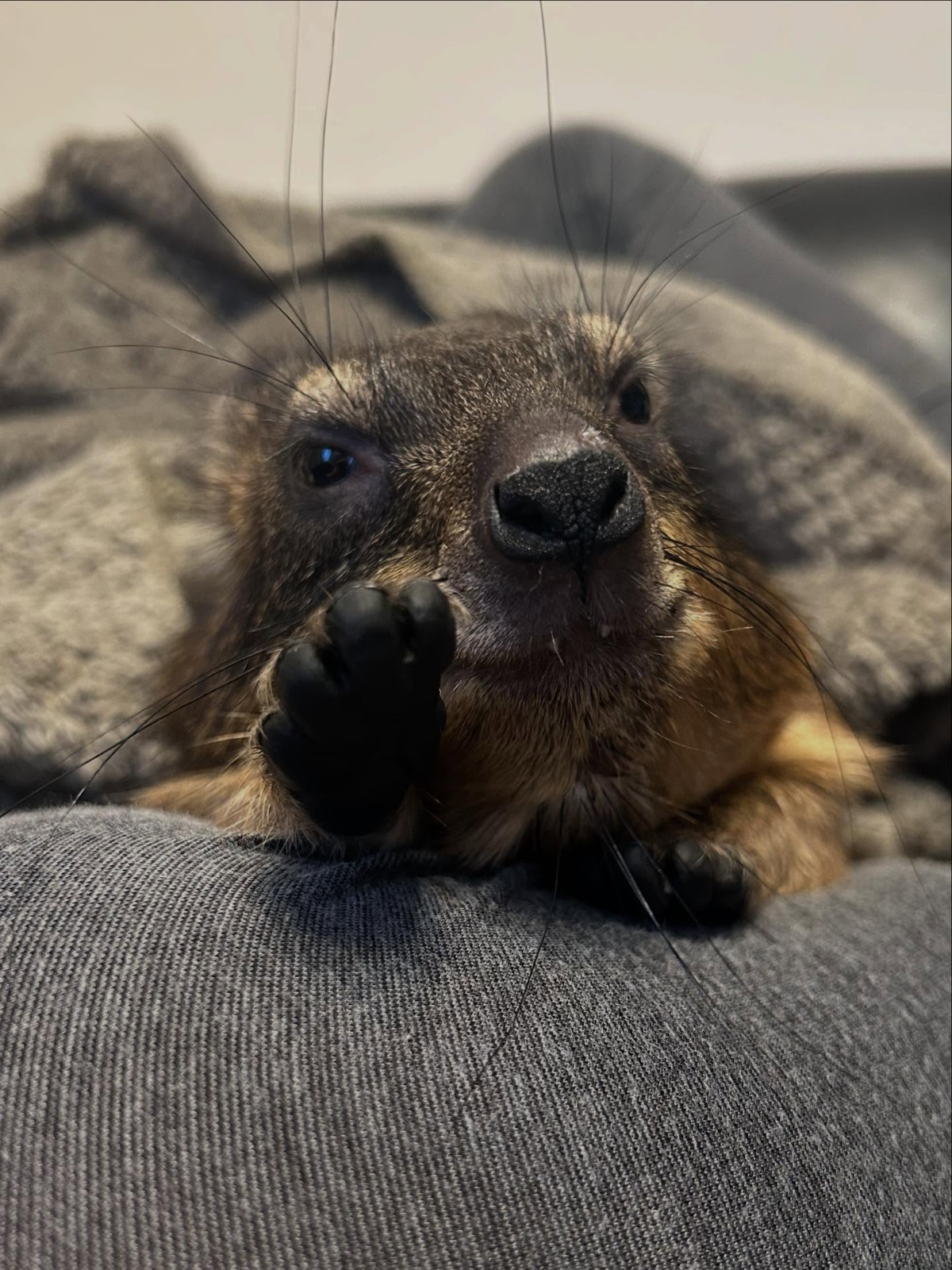 dc19f6d5-6d1b-4d11-a3d6-478bf70d989a