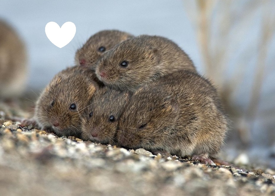 922a9916-53ea-4d56-a010-3bae098c7b51