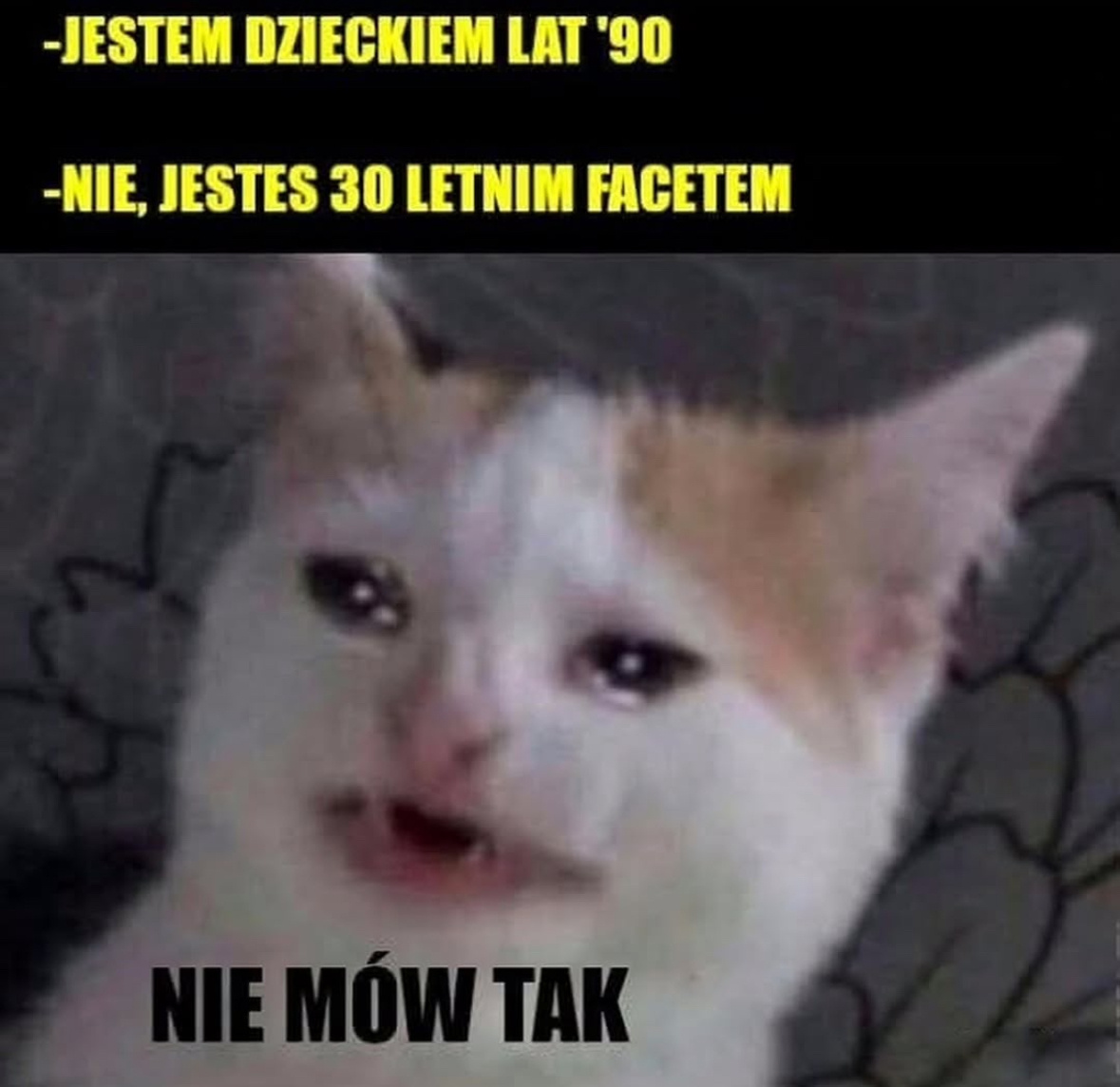 24ab74b3-ec60-4f05-91d8-0f41d4b21fec