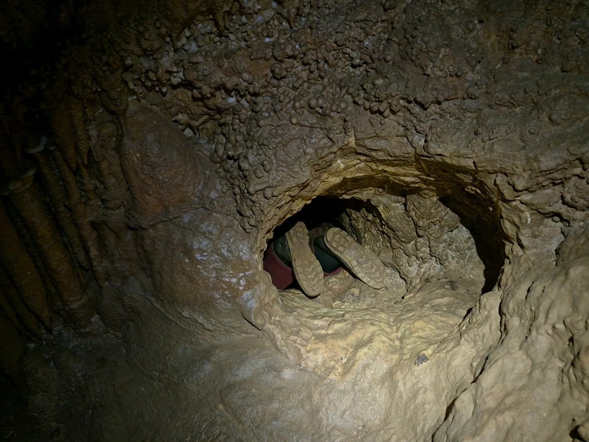 b8850d3f-7829-4778-9512-858475367fcd