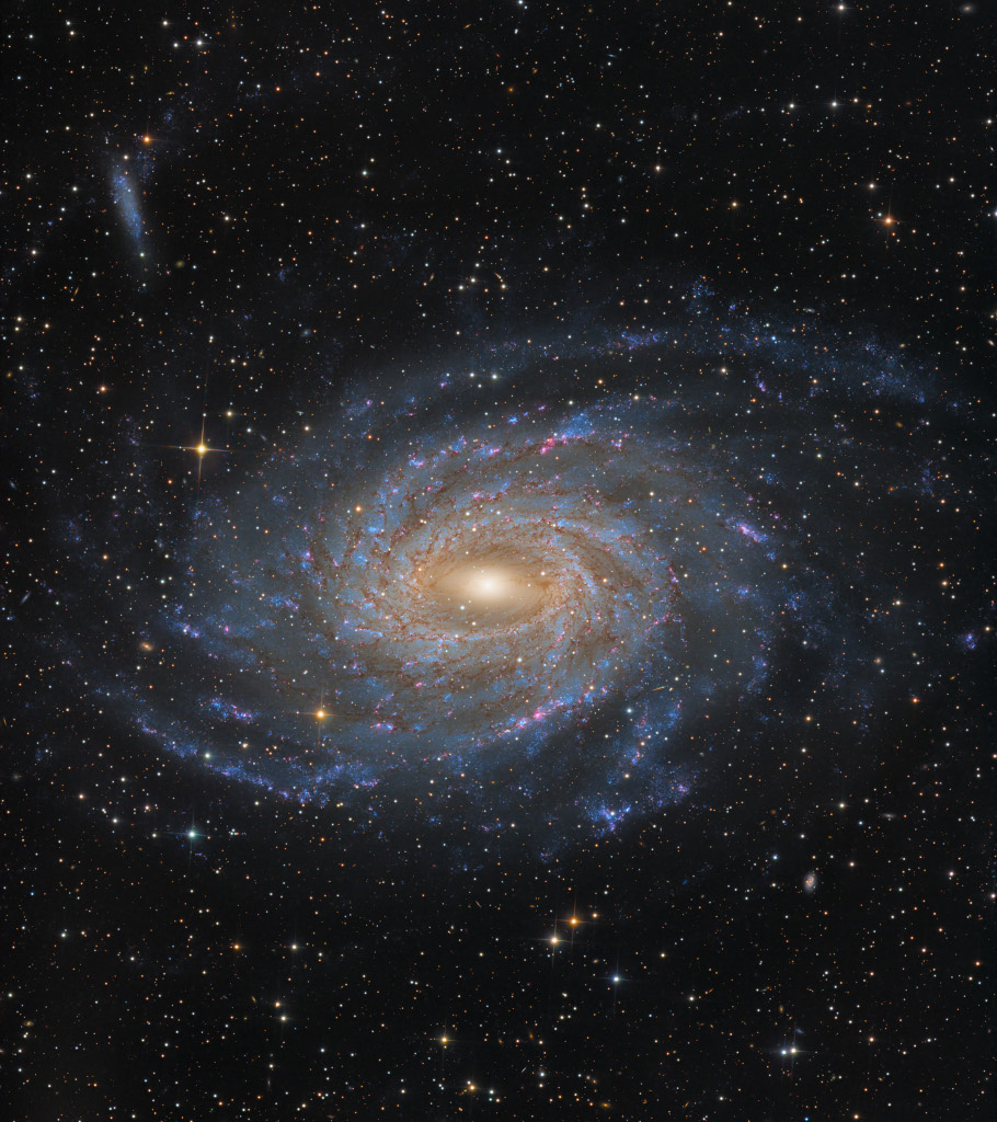 4ace699f-baaf-4a44-bf2c-e46f9f3bff72