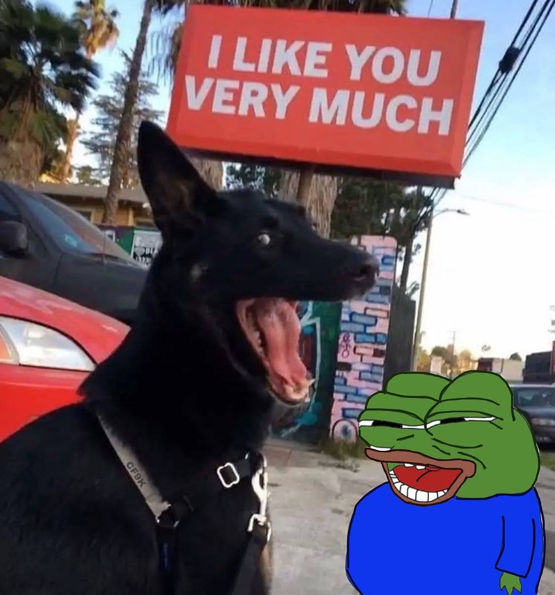 85cb3a73-d155-4caf-9383-14cb2e1f2c0f