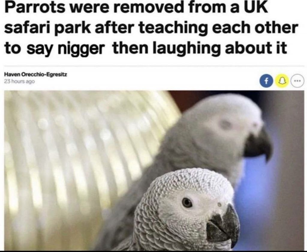 7769e32f-7440-45cf-9cf5-9b1946782c27