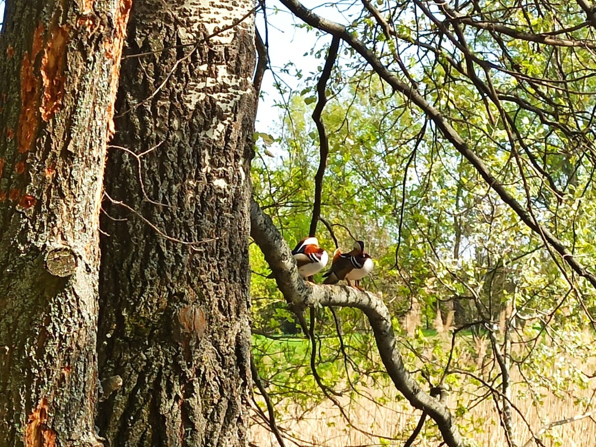 7033dd5c-f76a-4cc4-bc9b-92f2f3836117