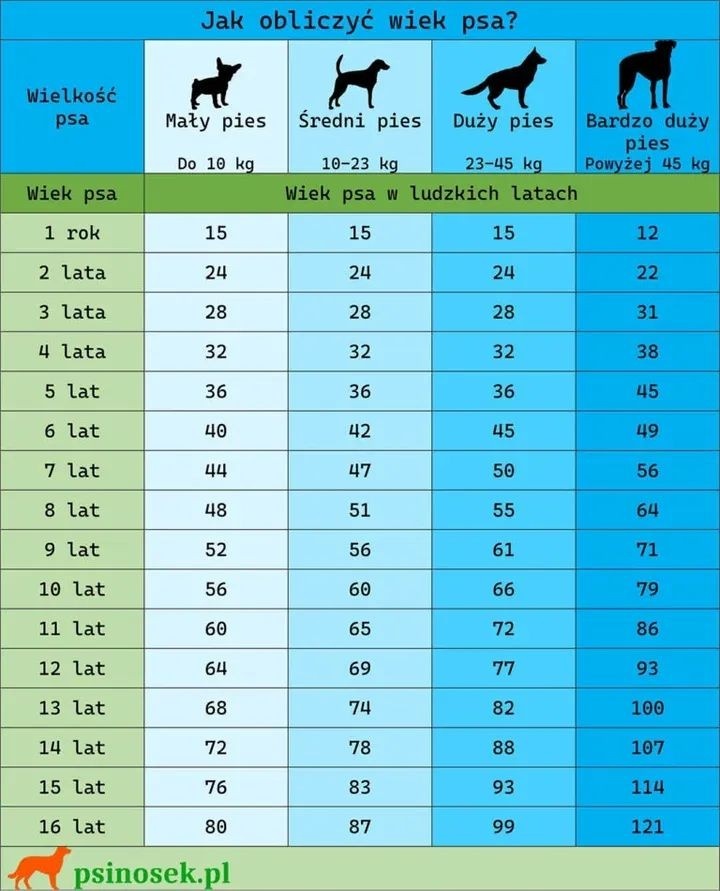 e342b819-4384-46de-a926-f961eef7e14b