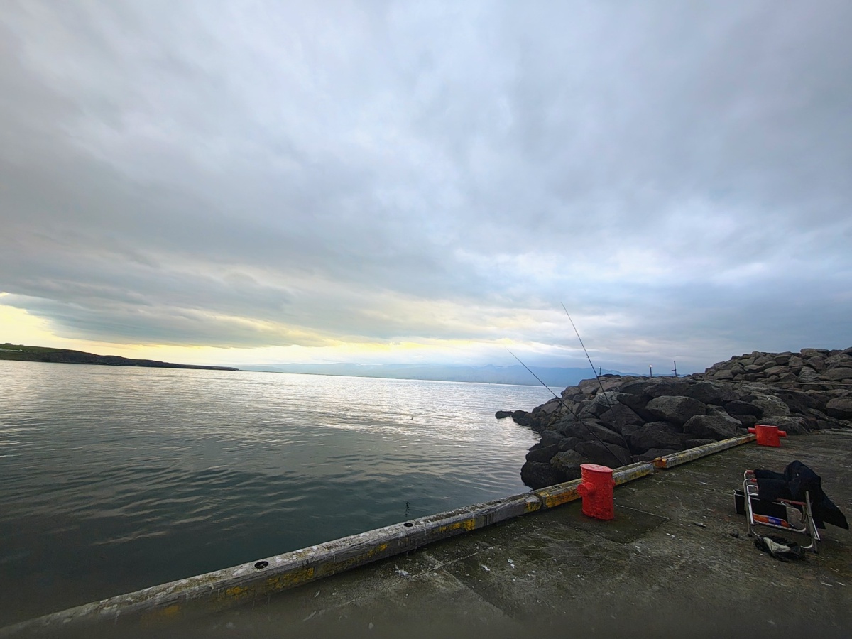 e511a3b8-462c-4d17-94ae-6b915df72fff