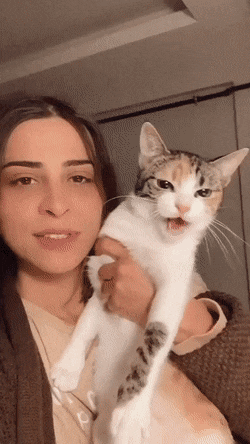 d7d022f5-993c-4432-9b36-3414060c6b36