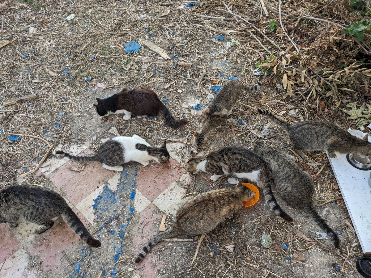 41a26818-6e74-4cd7-a93d-82766c88a2b6