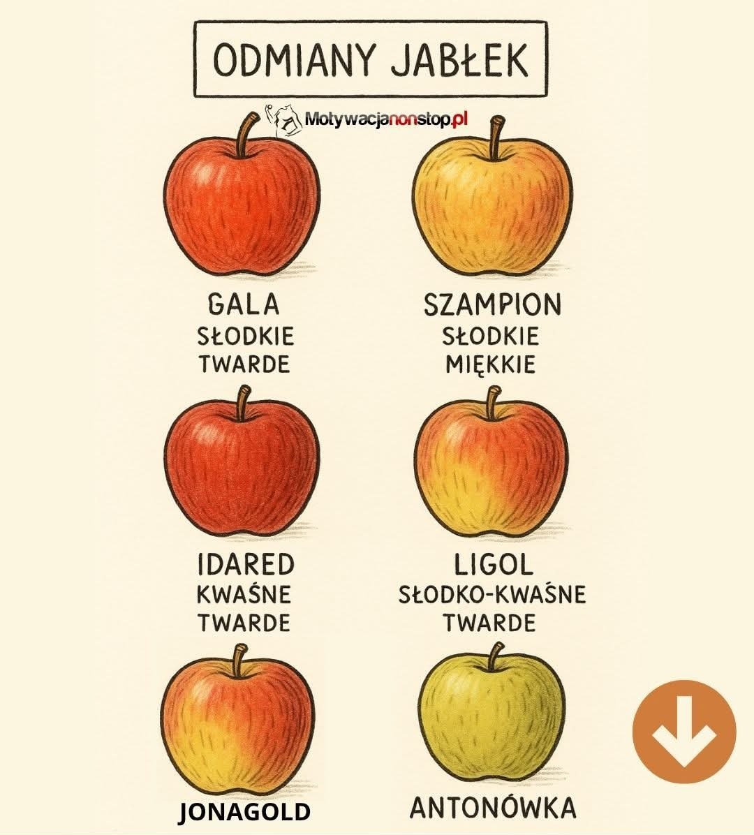 44f3093d-be1d-48b0-8a70-83488aa1a233