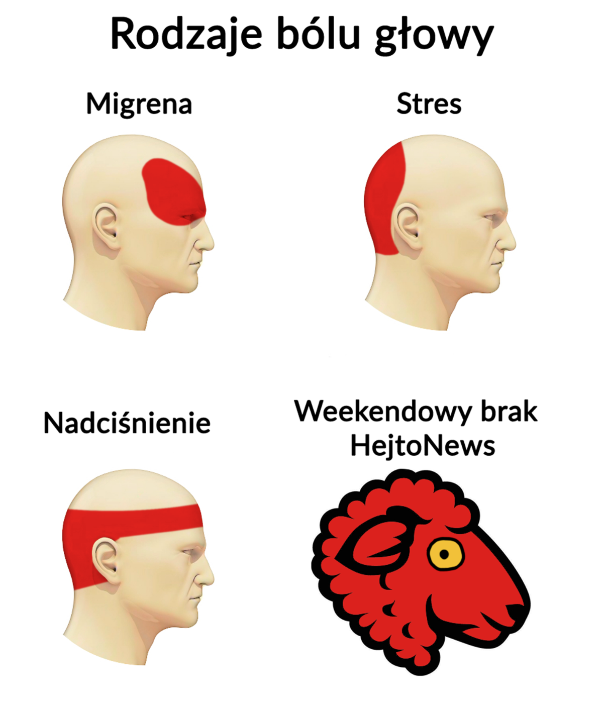 450c6541-3fd6-409f-910f-c4a6f818e75e