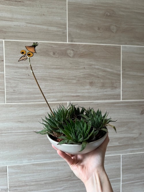 1e66a139-a7fe-4d82-be5d-821ac904f37e