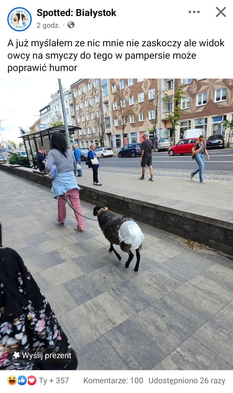 fd1cd749-0776-4c73-8b9e-89070e2e773d