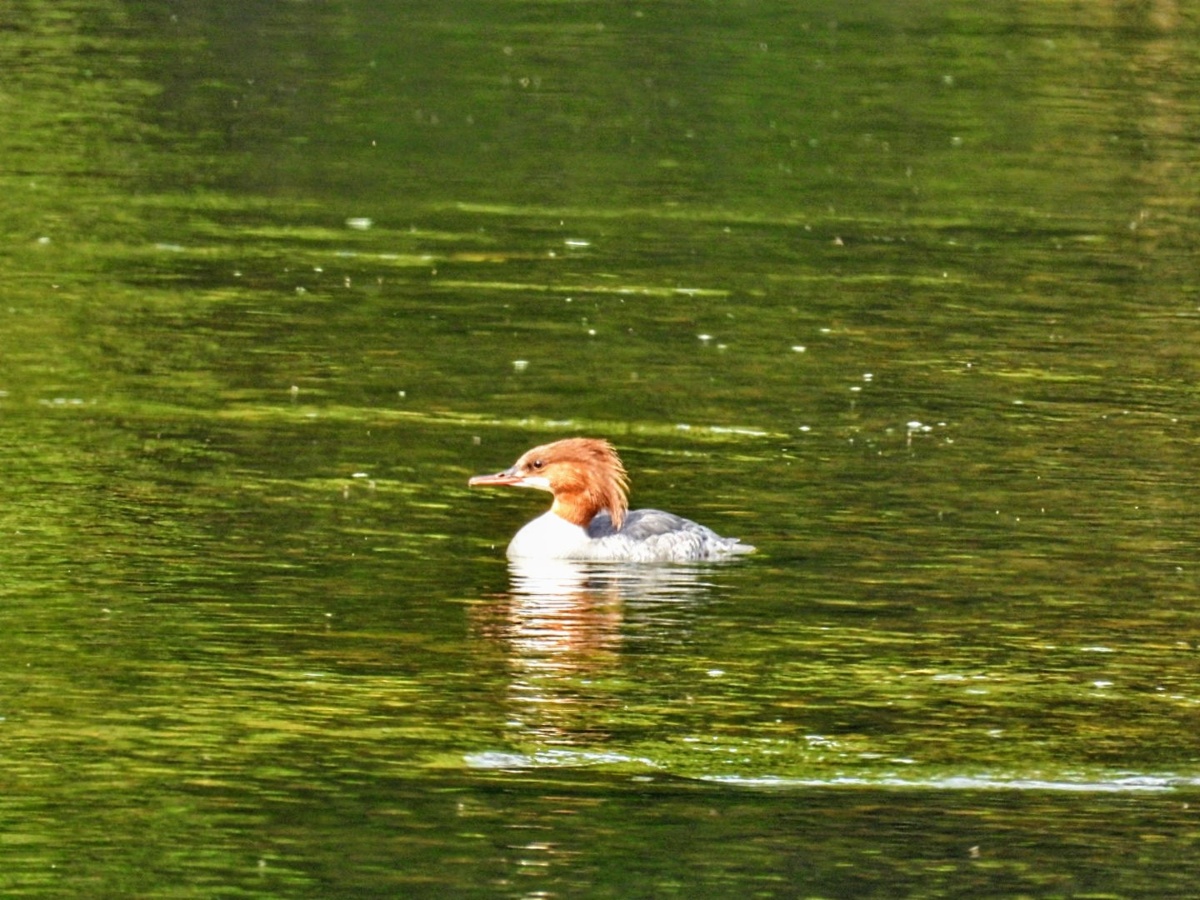 7afc2c4e-216f-43f6-bff1-23282b4a03b3