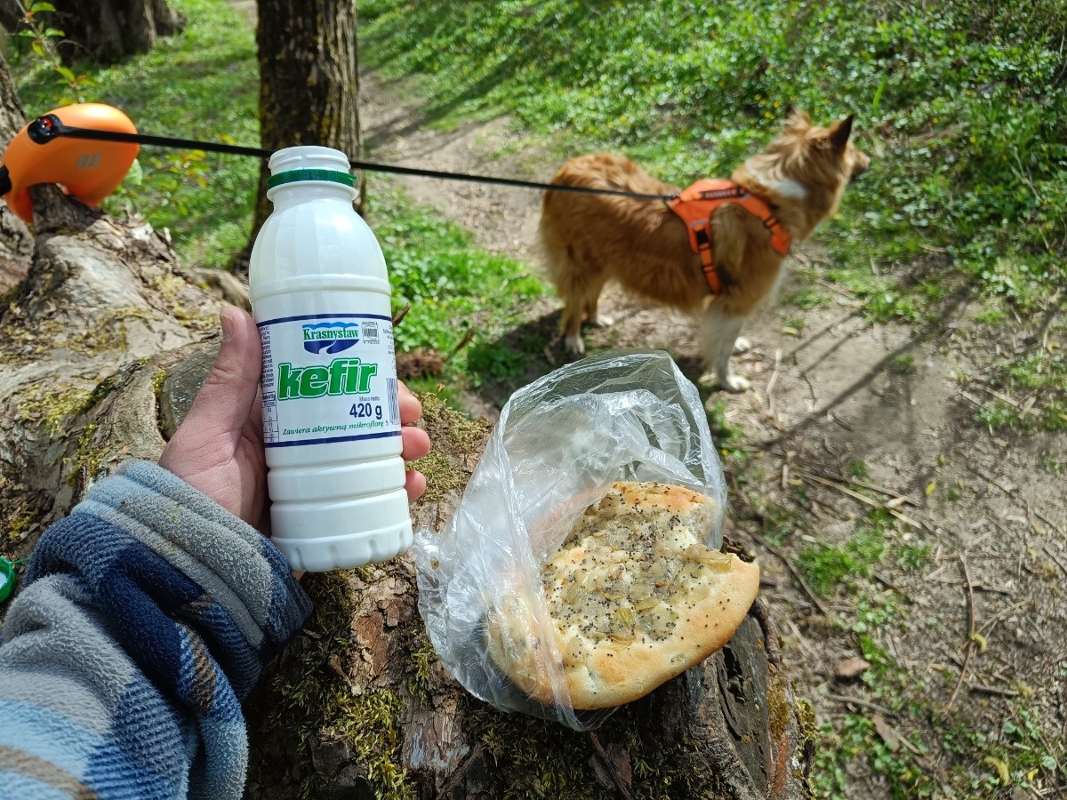 72f31c44-8ae5-402d-933a-62a854ee3ecd