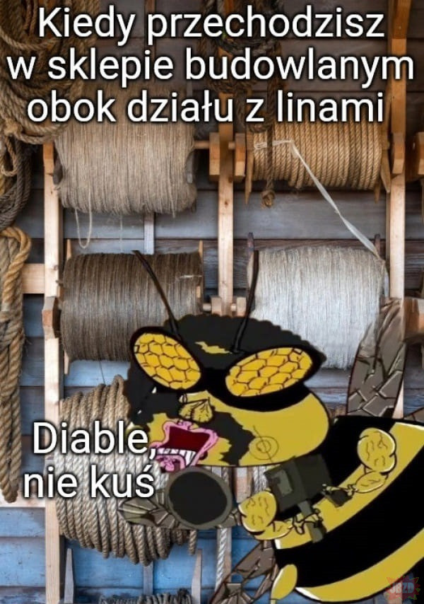 87329bf8-73a7-4f9f-b499-0071c0c079d1