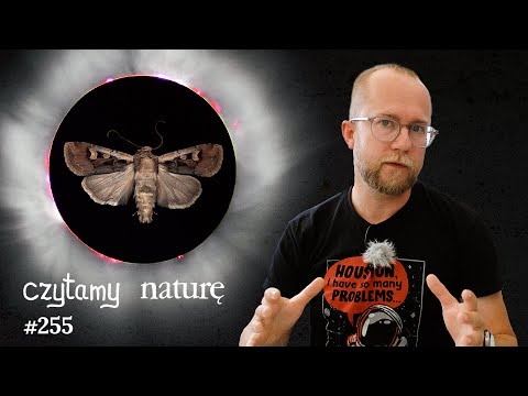 Cement z wulkanu - Prognoza pogody kosmicznej - Ćma-nawigatorka | Czytamy naturę 255