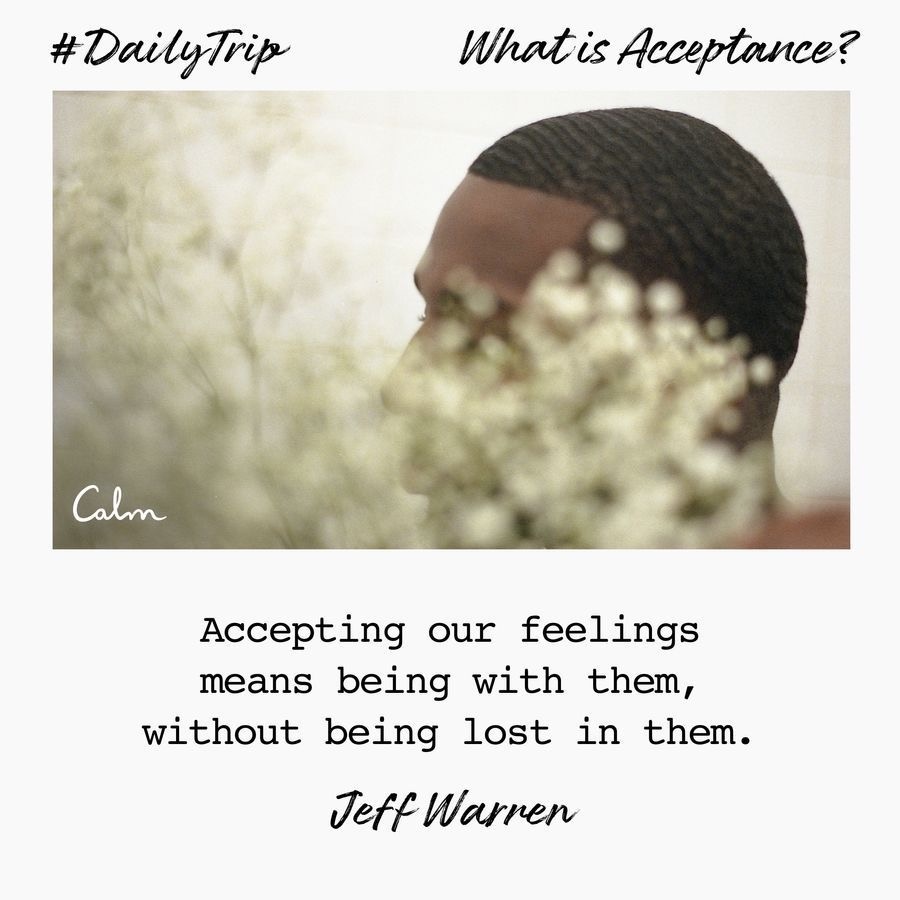 e0de2d16-19d4-4d60-93a6-2335def24c22