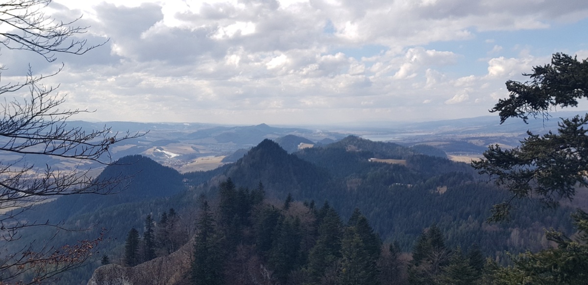 cbc3168c-6d8a-41f2-be67-20a48f295ab9