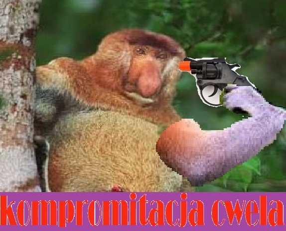 4e3dd46b-65f4-4eeb-98b7-16b5dd47298a