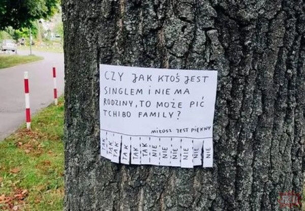 05519387-066c-42f9-8725-f44ed278b310