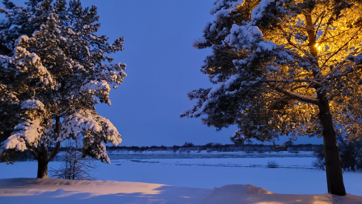 c207dce3-7b77-438b-a604-6019e7255be5